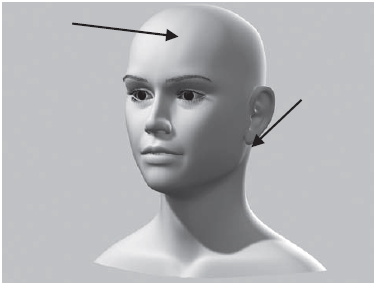 Neck and forehead points to control the skin temperature