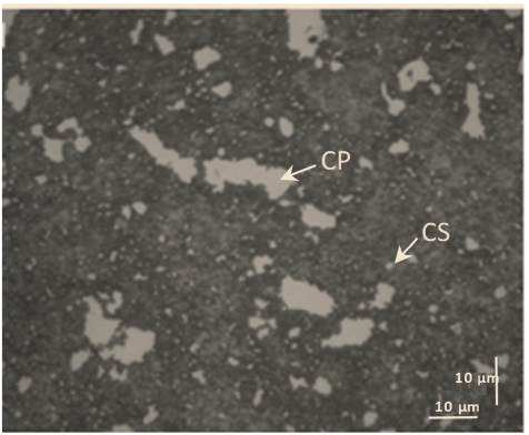 Bright field micrograph of 440C steel after cryo-quenching and tempering treatment