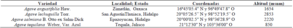 Localizaci&oacute;n geogr&aacute;fica de los puntos de toma de muestras de agav&aacute;ceas