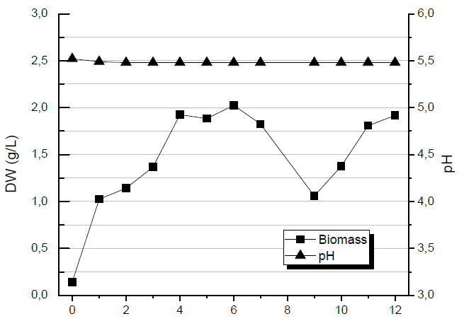 Kinetics of Biomass Production controlled pH to a value of 5.5