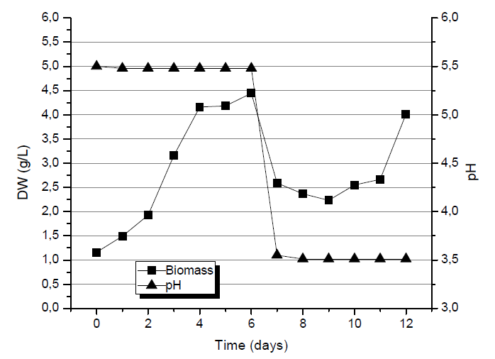 Kinetics of Biomass Production with bistage pH control technique.