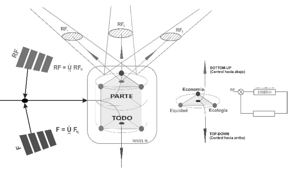 El hol&oacute;n como entidad regulada por los dominios de colaboraci&oacute;n y como regulador de los dominios de las holarqu&iacute;as de los dominios de cooperaci&oacute;n. 