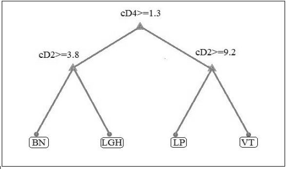 Caracter&iacute;sticas con la t&eacute;cnica de selecci&oacute;n embebida podamiento