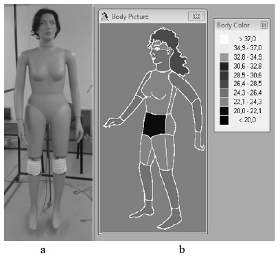 Thermal manikin: photo of nude thermal manikin used on tests (a) and software body picture of thermal manikin and color legend of body segments temperature (b).