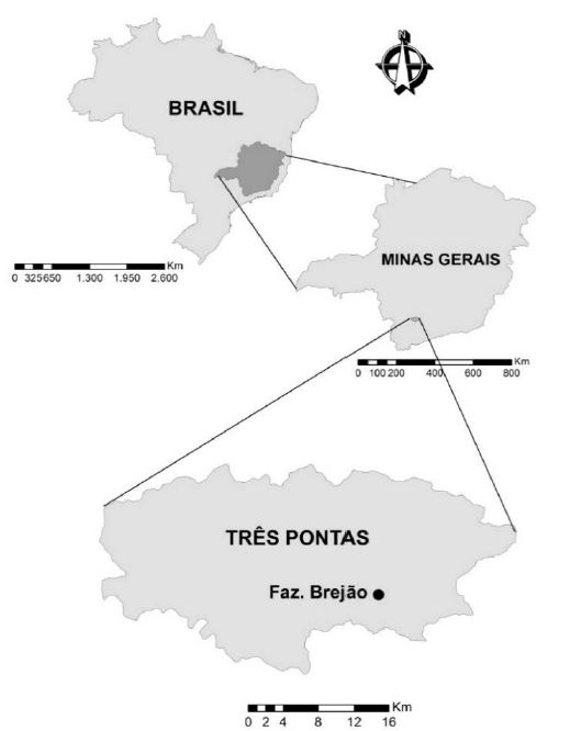 Location of the experimental area