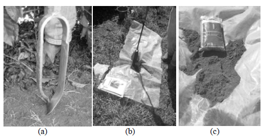 Soil sampler (a), homogenization of the sampled soil (b) and Soil sample (c).