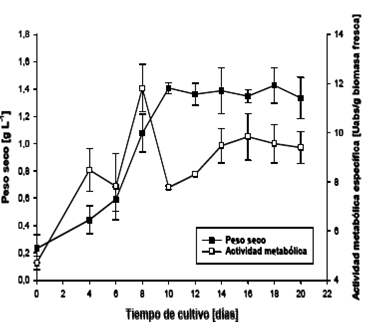Perfil de crecimiento de biomasa para cultivos transformados de S. tuberosum en suspensión