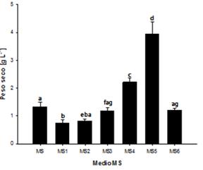 Comparación del peso seco obtenido en 6 medios de cultivo con distintas concentraciones y relaciones (NO3-:NH4+): MS (20.6:18.8), MS1 (0:39.4), MS2 (9.4:10.3), MS3 (9.8:29.5), MS4 (29.5:9.85), MS5 (37.6:41.2) y MS6 (39.4:0). Las medidas corresponden a la biomasa en el día 20 de cultivo. Barras con letras distintas indican diferencias significativas entre las medias de los datos (p<0.05).