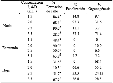 Efecto del tipo de explante y concentración de 2,4-D sobre la formación de callo, la fenolización y la organogénesis en cultivos de S. tuberosum.