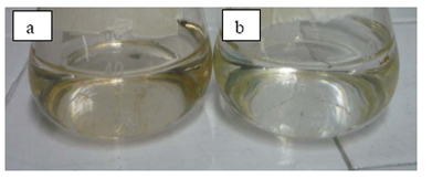 a) Muestra la formación de AgNPs después de 144 h de incubación de las muestras SN del hongo ligninolítico anamorfo R1 de Bjerkandera sp. b) Muestra control.