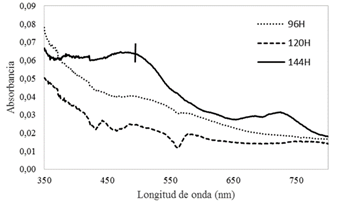 Espectro UV-vis para AgNPs sintetizadas en la solución SN del hongo Anamorfo R1 de Bjerkandera sp con un error calculado de (0.025-0,002). 96 h de incubación (•••); 120 h de incubación (−−−); 144 h de incubación (─).