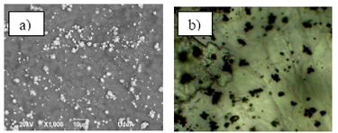 Imágenes de las películas de carragenina, con presencia de AgNPs; a) SEM; b) Estereoscopio 40X.