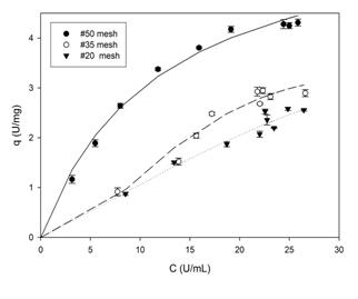 Adsorption isotherms of PPase-SE to lemon protopectin in AcB (20 mM, pH 5.0) at 4-8 &ordm;C with shaking at 150 rpm. The concentrations of enzyme and substrate were 25 U.mL-1 and 20.mg.mL-1, respectively.