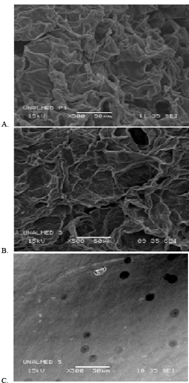 Protopectinase-se from Geotrichum klebahnii: Studies of the adsorption ...