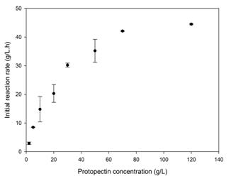 Effect of the concentration of lemon protopectin (mesh #35 particles) on the initial velocity of the hydrolysis reaction. Concentration of PPase-SE, 35 U.mL-1 in CitB (25 mM, pH 5.0); incubations at 37 &ordm;C with shaking at 150 rpm. 