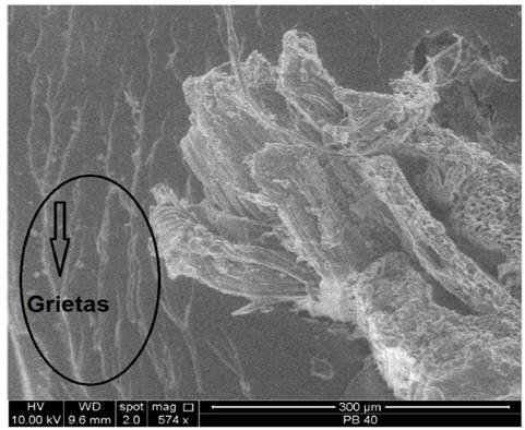 Microscop&iacute;a SEM en la superficie de falla de una probeta a flexi&oacute;n, indicando la propagaci&oacute;n de grietas.