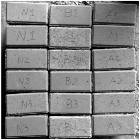 Concrete Paver Blocks for Visual Inspection and Laboratory Testing.