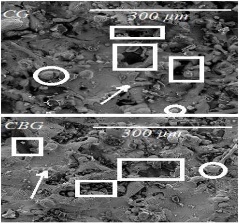 Morfolog&iacute;a del recubrimiento.