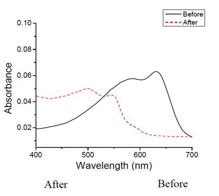 UV-vis spectra of PDA-NHS liposomes sensing thermochromic effect, A) Before, and B) After heating. 