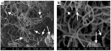 SEM micrographs of CNTs a) prior to purification, and b) after purification.