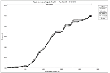 Perfil de calados Distribuci&oacute;n de velocidades en el canal y zona inundada.