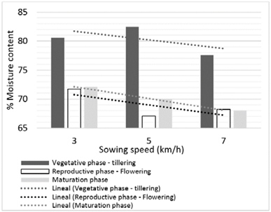 Percentage of moisture in the rice plant for the three phases.