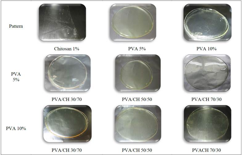 Photographs of PVA/CH membranes and pattern 