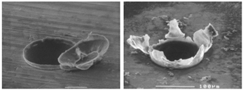 Exit burr while micro-drilling Aluminum 6061 T6.