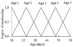 Membership curve for the input variable Age.
