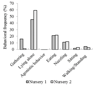 Behavioral frequency (%) of the animals in Nursery 1 and Nursery 2.