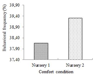 Behavioral frequency (%) in comfort condition in Nursery 1 and Nursery 2.
