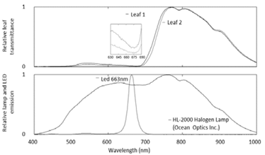 Transmission spectra of sorghum leaves (top) illuminated with a halogen lamp. Emission of the halogen lamp and the 663 nm LED source (bottom) used in this research. The insert in the upper figure shows a band of greater light absorption in two randomly chosen sorghum leaves. 