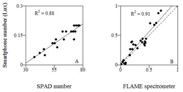 Relative performance of the smartphone based chlorophyll meter compared with two commercial devices on plant leaves. A: Smartphone readings compared with the readings of the gold standard SPAD 502&trade; chlorophyll meter (Minolta corporation, Ltd., Osaka, Japan) on chrysanthemum. B: Smartphone readings compared with a commercial spectrometer (FLAMETM, Ocean Optics Inc.) on sorghum. The solid line in each scatter plot represents the best fitted model. The dashed line shows a perfect fit reference line.