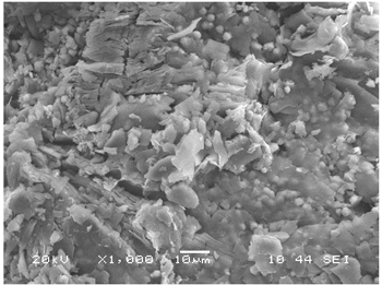 Imagen Microscopio Electrónico de Barrido de la muestra Natural, aumento 100x.