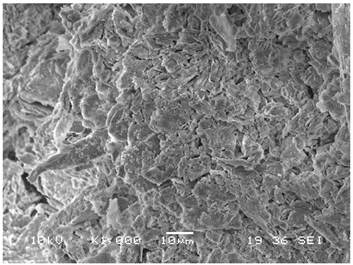 Imagen Microscopio Electrónico de Barrido de la muestra Contaminada, aumento 100x.