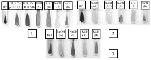 Hemicellulose from treatments of delignification with peroxide (1), chlorite (2), and NaOH in EDTA (3). The hemicelluloses in A were obtained by precipitation with a rotary evaporator concentration process. The hemicelluloses in B were obtained by precipitation with ethanol.