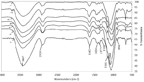 Hemicellulose extracted with KOH. AV1 (1), AV2 (2), AV3 (3), AV4 (4), AV5 (5), CC 8475 (6), and V 7151 (7). 