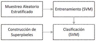 Etapas del proceso de clasificaci&oacute;n.