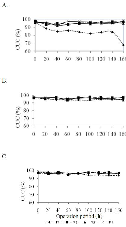 Mean rates of Christiansen uniformity coefficient (CUC) over the operation period of drip irrigation units with emitters G1 (A), G2 (B) and G3 (C) submitted to operating pressures P1 (70 kPa), P2 (140 kPa), P3 (210 kPa) and P4 (280 kPa).