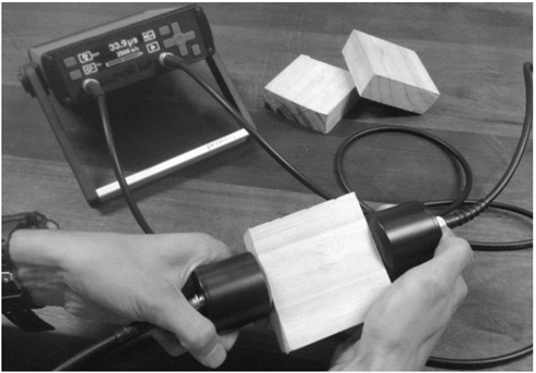 An&aacute;lisis de ultrasonido. 