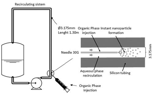 Description of the recirculating system