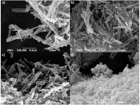 SEM micrographs for different HA powders. a) HAC, b) HAM, c) HAT and d) HAG 