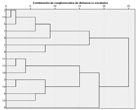 Dendogram per cluster analysis - Ibagué zone