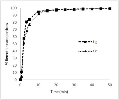 Sedimentation dynamics of Glutathione@MNPs in aqueous suspension after adsorption of Hg and Cr.