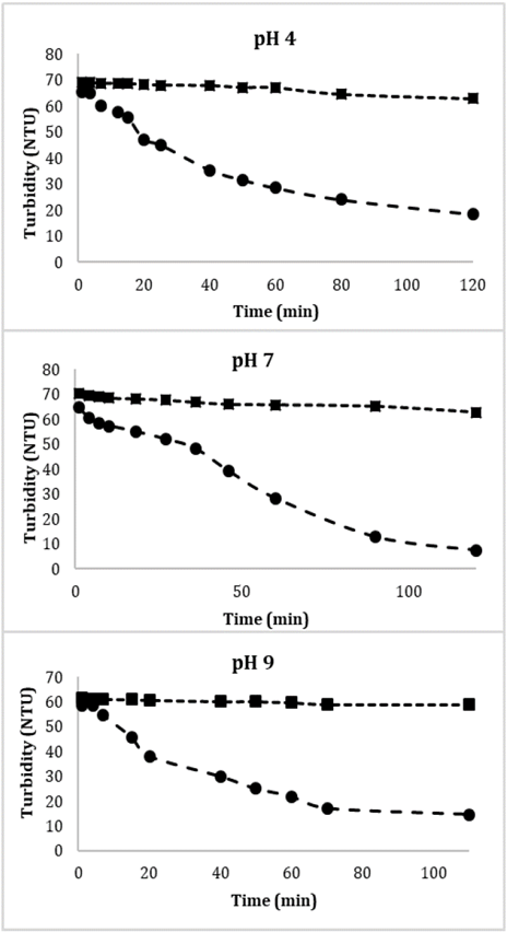 Effect of the magnetic gradient on the sedimentation dynamics of Glutathione@MNPs in aqueous systems at different pH values. ●With magnetic field, ■ without magnetic field.