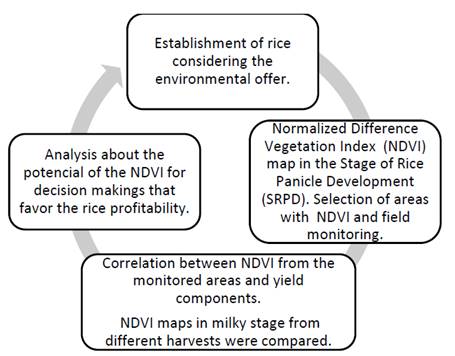 Methodological scheme