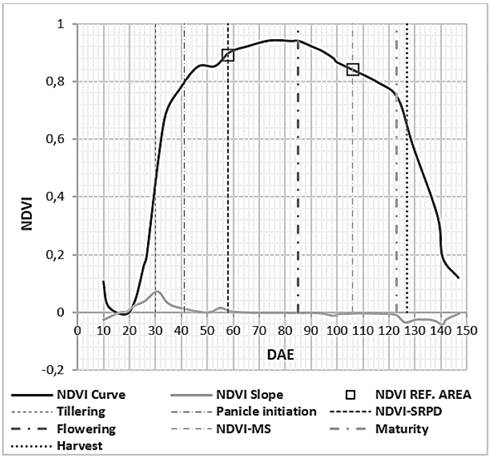 Estimation of the temporal dynamics of normalized difference vegetation index for rice cv. FEDEARROZ-2000. 