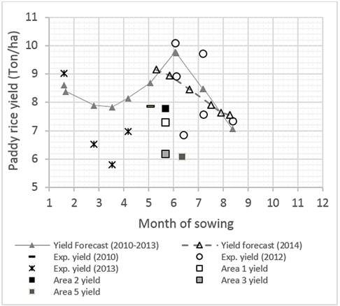 Paddy rice yield (Ton/ha) of FEDEARROZ-2000 in Tolima. 