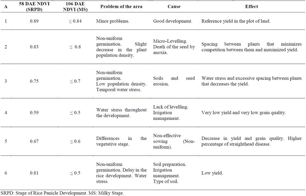 Normalized difference vegetation index (NDVI) and qualitative monitoring parameters for the study areas of rice crop.