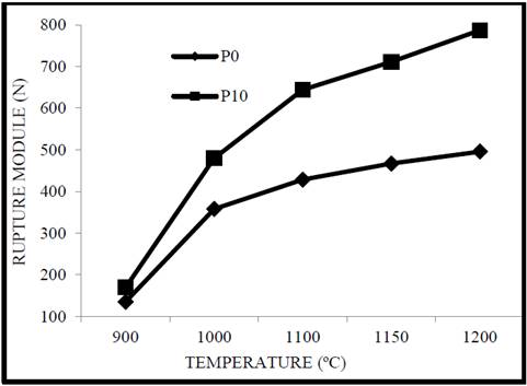 Resistance to bending fracture of P0 and P10.